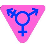 Shemale Sex in Bangalore Escorts